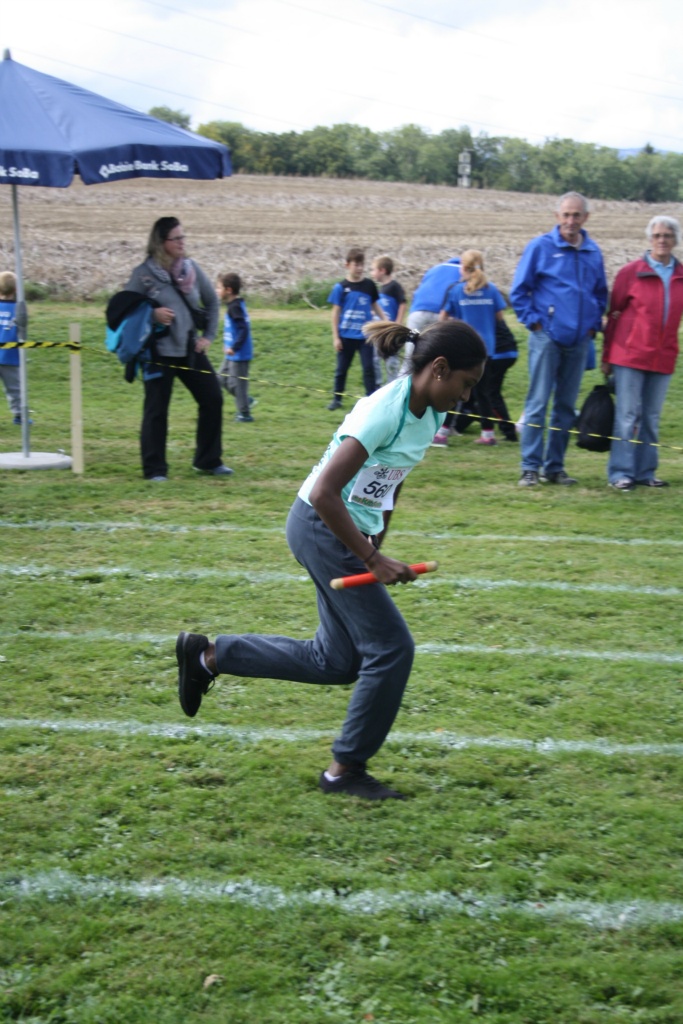 Bild 1 (149)
